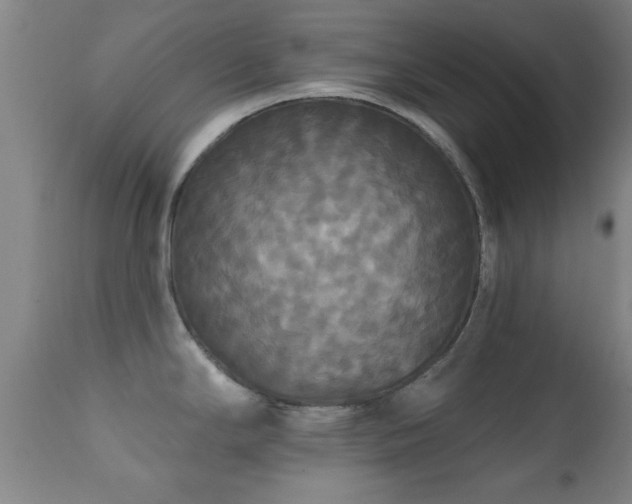 X0000112201294200908141425