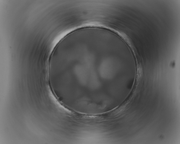 X0000112201295200908141425