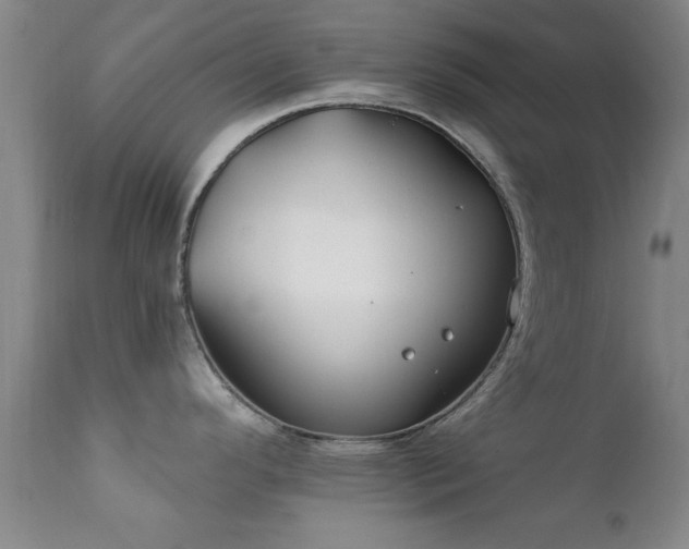 X0000112201296200908141425