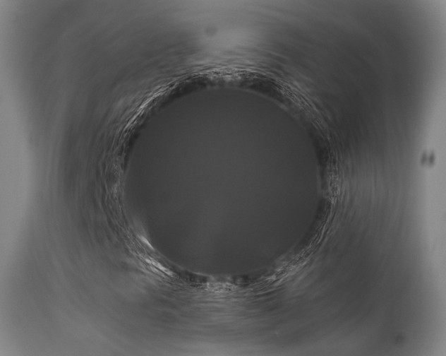 X0000112201297200908141424