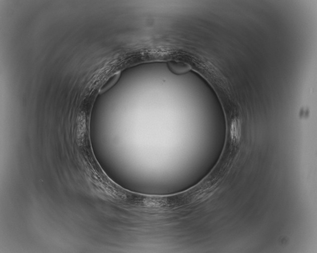X0000112201299200908141424