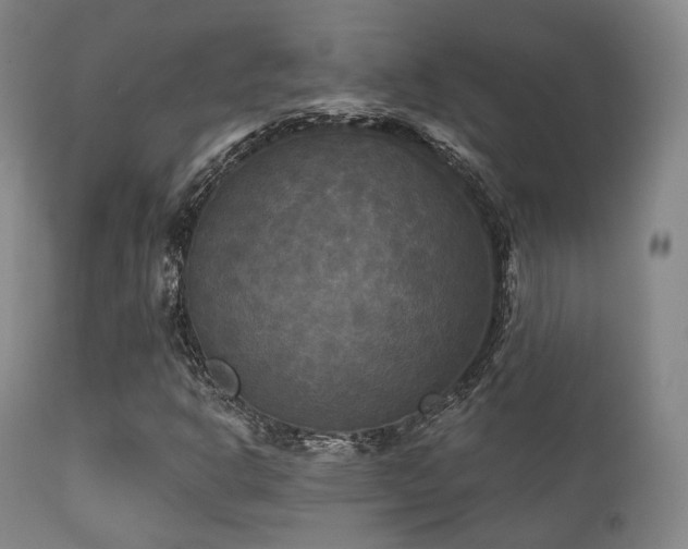 X0000112201302200908141424