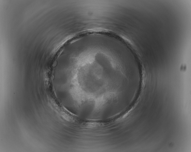 X0000112201305200908141424