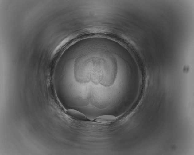 X0000112201306200908141424
