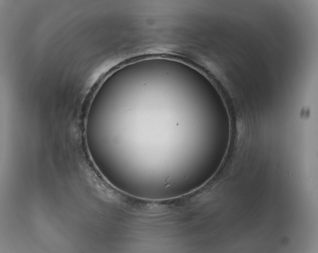 X0000112201308200908141424