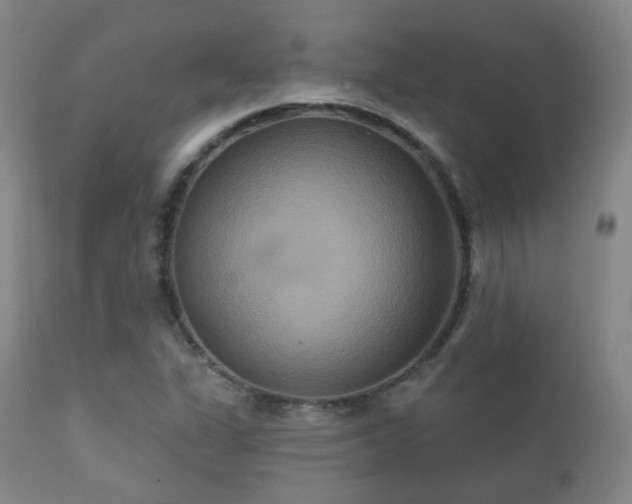X0000112201311200908141424