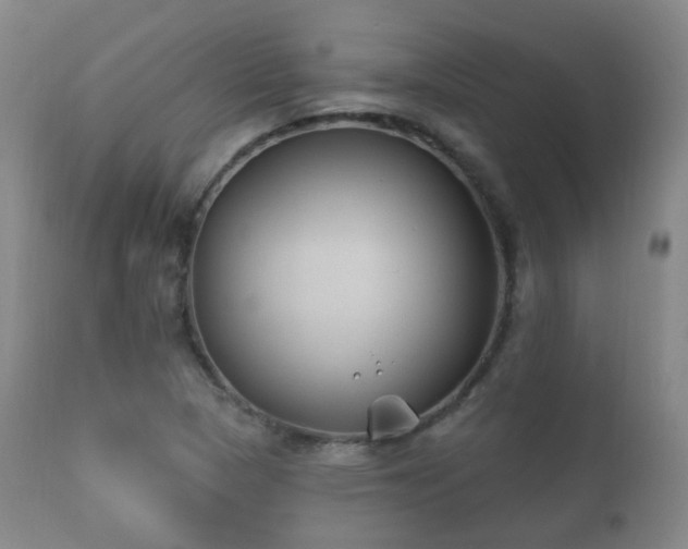 X0000112201313200908141424