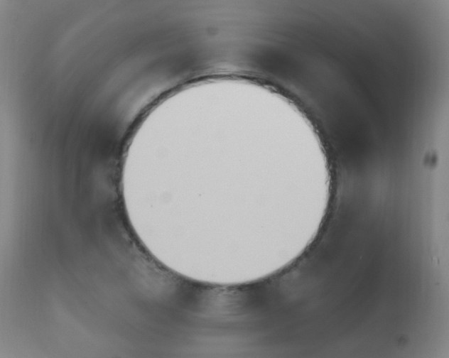 X0000112201314200908141424