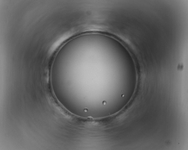 X0000112201317200908141424