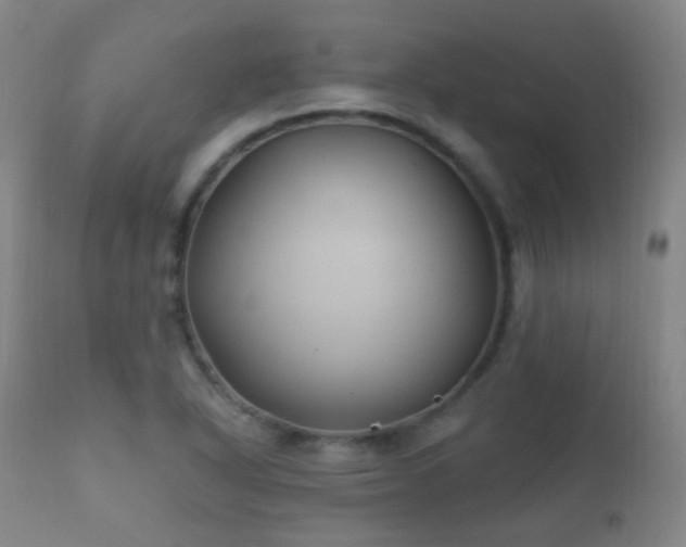 X0000112201318200908141424