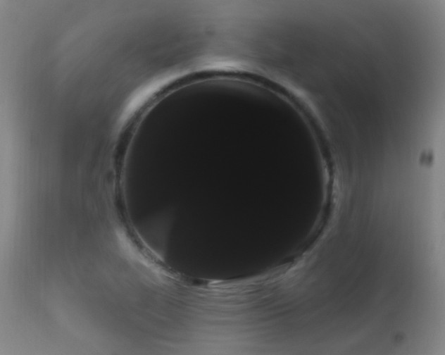 X0000112201319200908141424