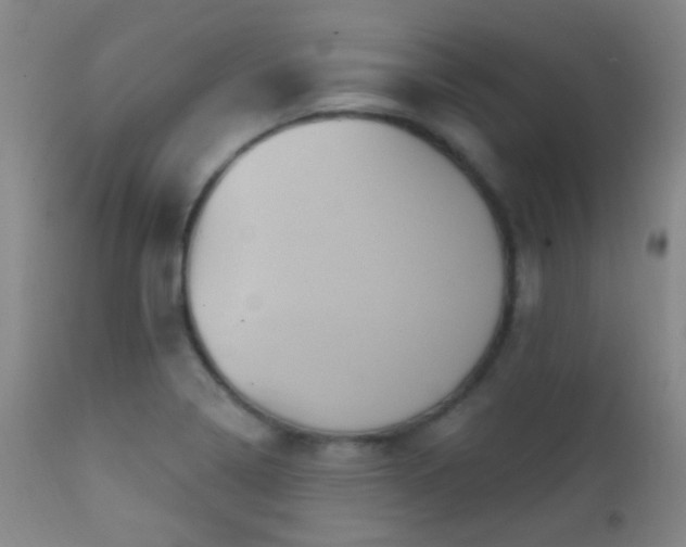X0000112201322200908141425