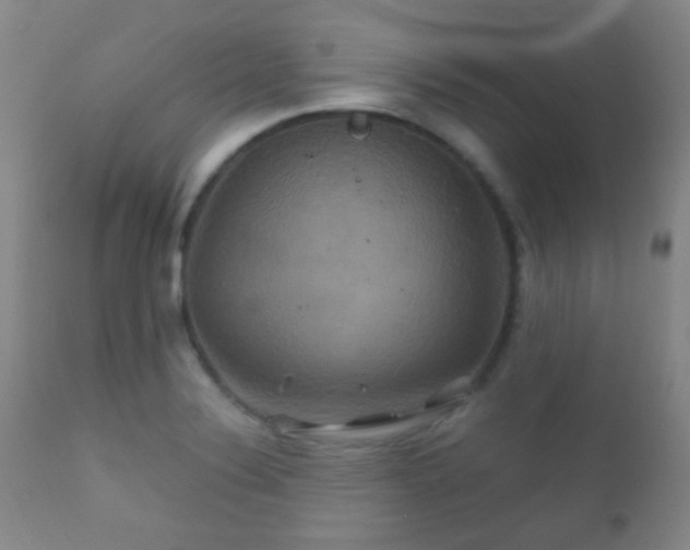 X0000112201324200908141425