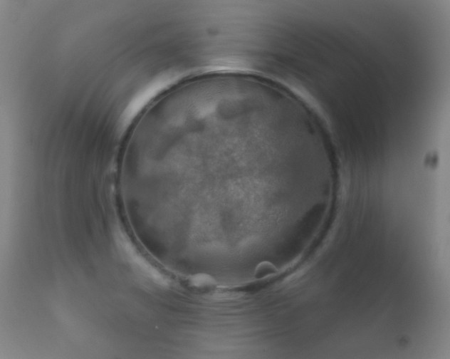 X0000112201325200908141425
