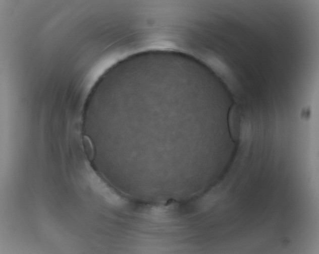 X0000112201326200908141425