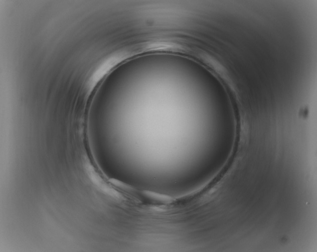 X0000112201330200908141425