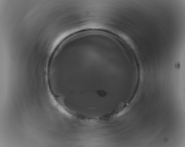 X0000112201334200908141425