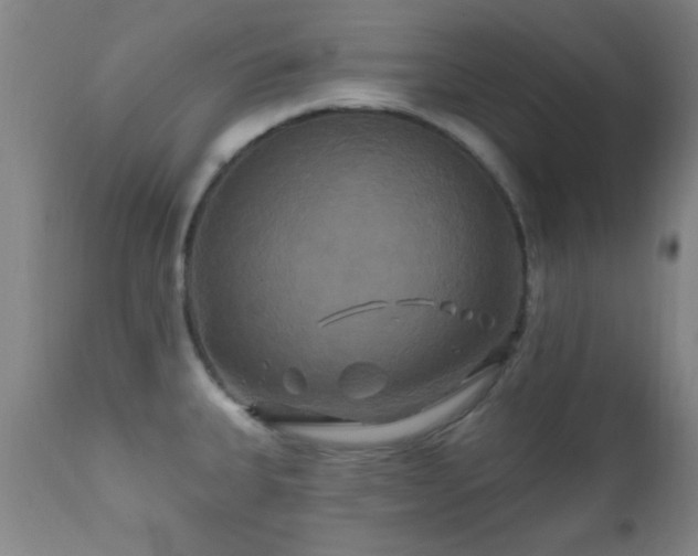 X0000112201335200908141425