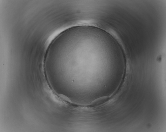 X0000112201336200908141425
