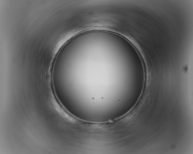 X0000112201341200908141425