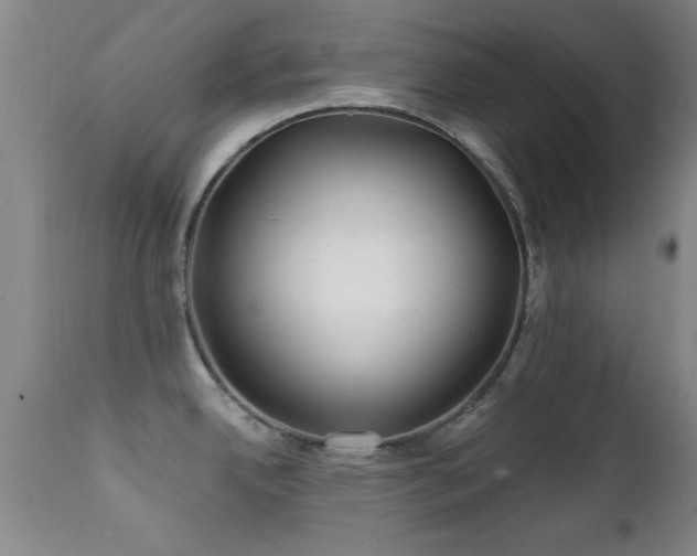 X0000112201342200908141425