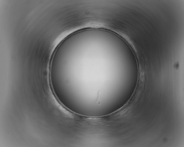 X0000112201343200908141425