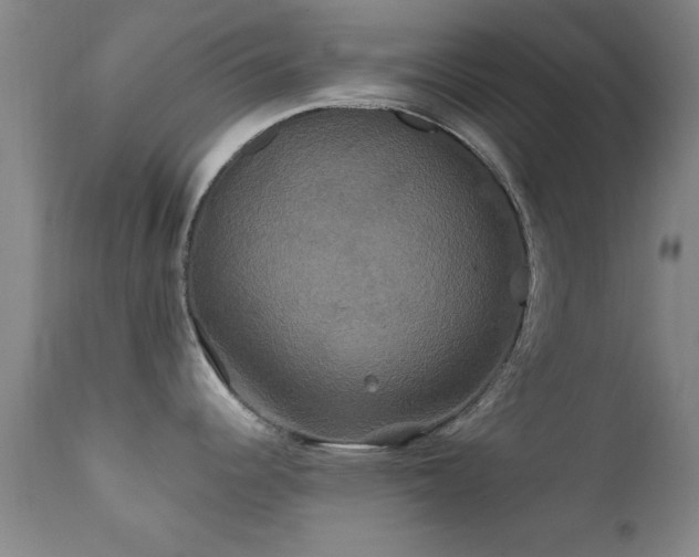X0000112201344200908141425