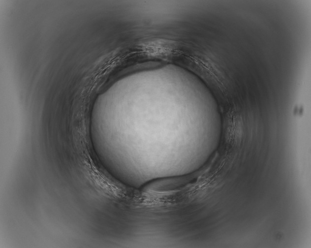 X0000112201345200908141424