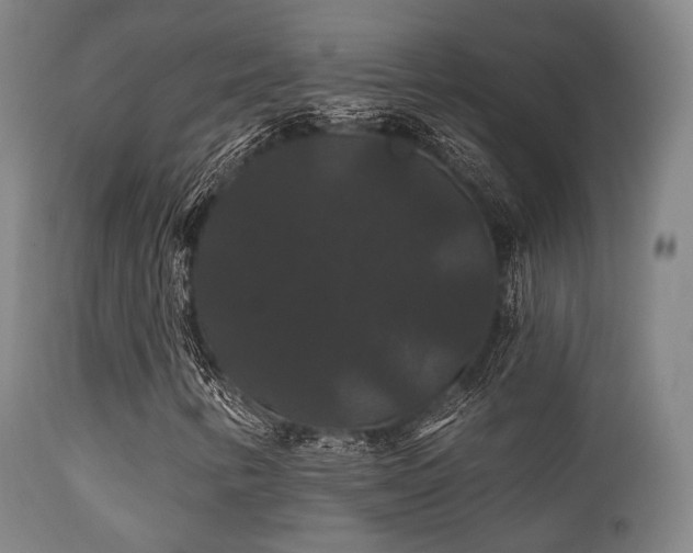 X0000112201346200908141424