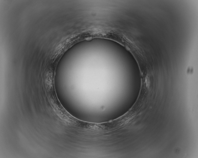 X0000112201348200908141424