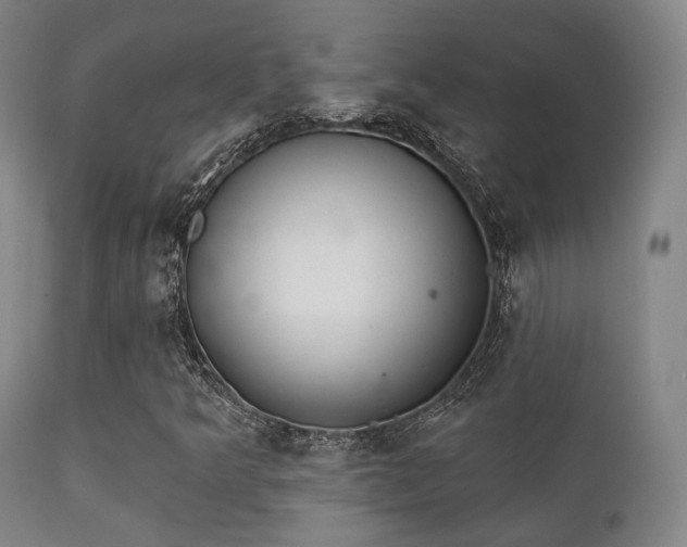 X0000112201349200908141424
