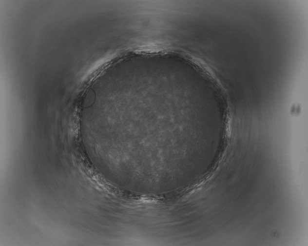 X0000112201350200908141424