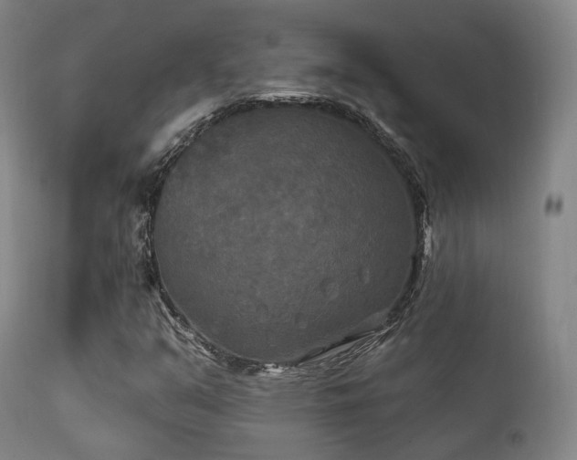 X0000112201351200908141424