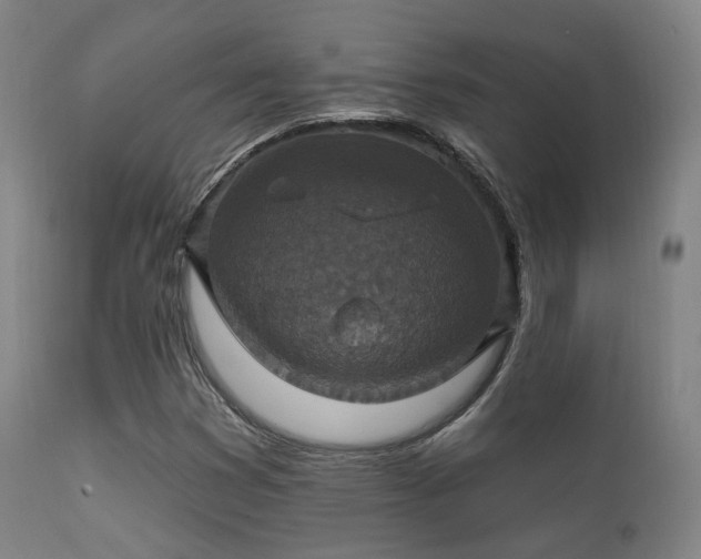 X0000112201353200908141424
