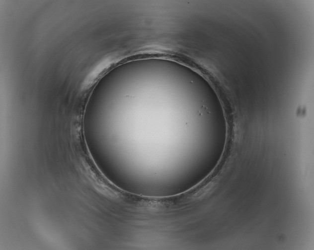 X0000112201355200908141424