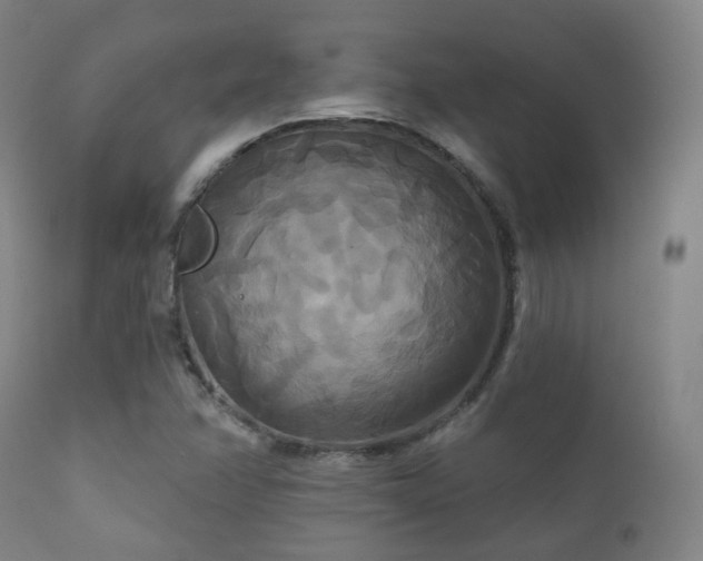 X0000112201358200908141424