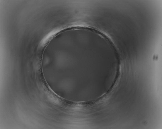 X0000112201359200908141424