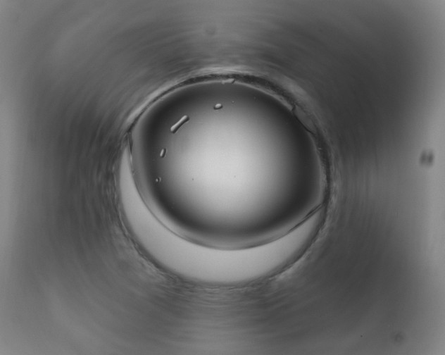 X0000112201361200908141424