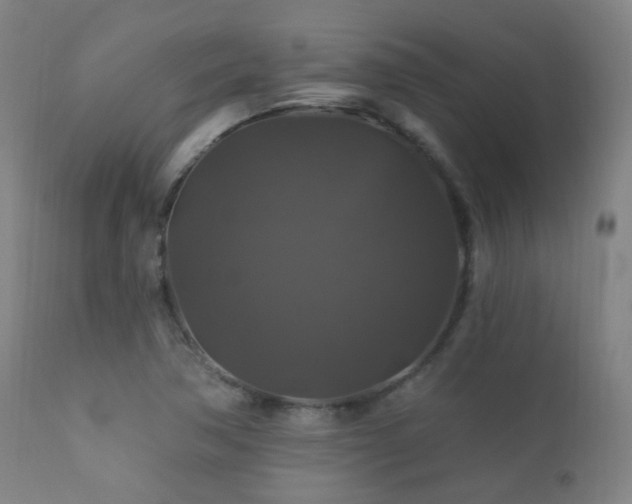 X0000112201362200908141424