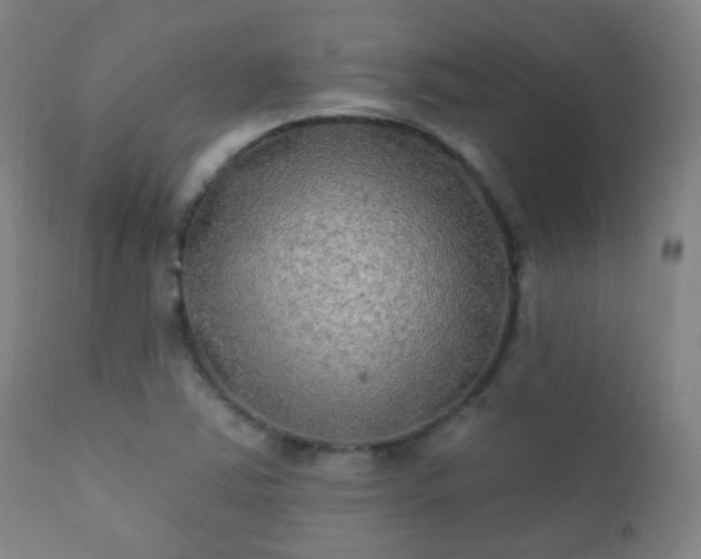 X0000112201363200908141424