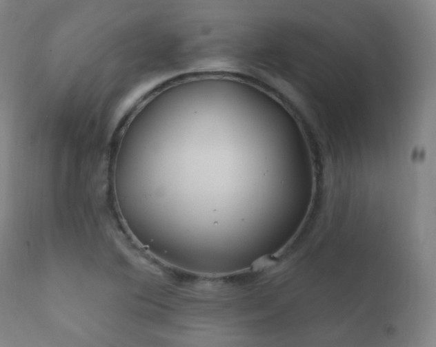 X0000112201364200908141424