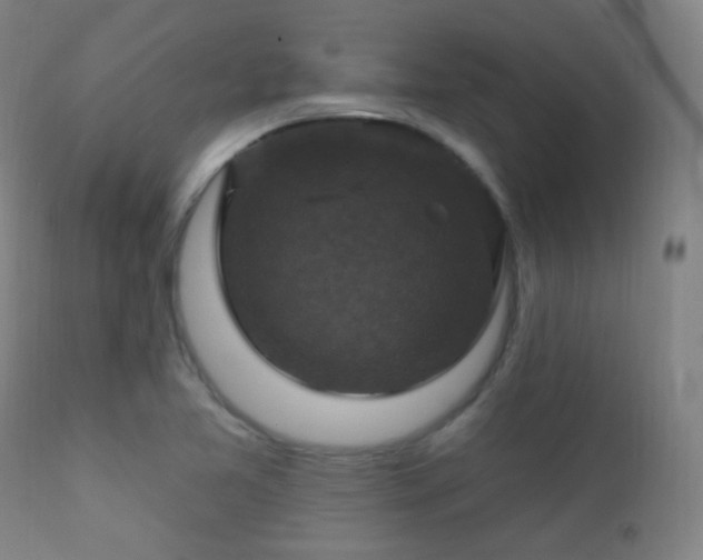 X0000112201365200908141424