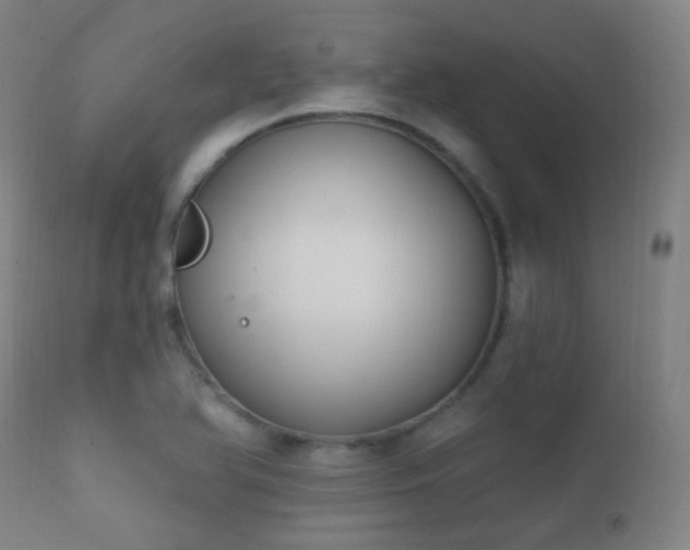 X0000112201366200908141424