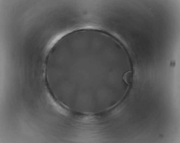 X0000112201367200908141424