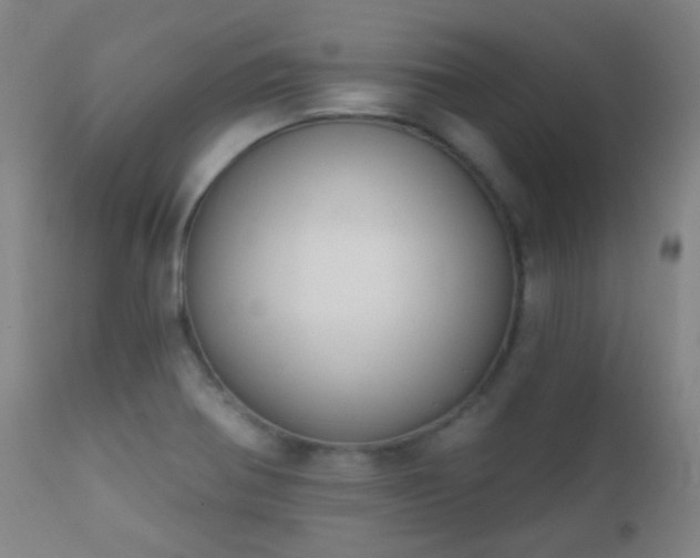 X0000112201370200908141424