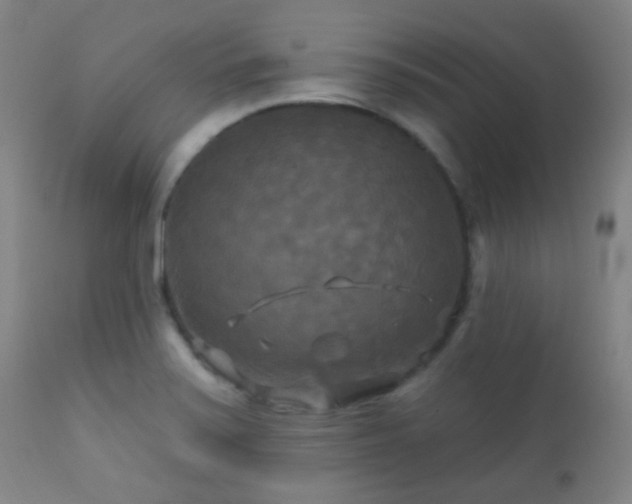 X0000112201371200908141424