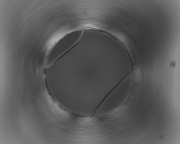 X0000112201373200908141424