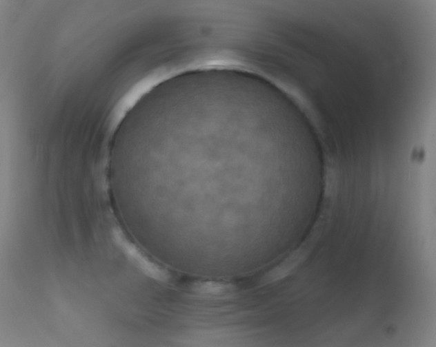 X0000112201374200908141424