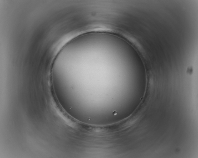 X0000112201375200908141424