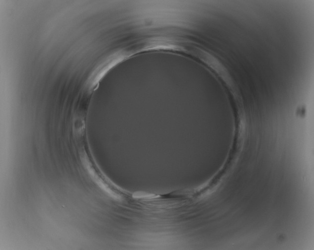 X0000112201377200908141424
